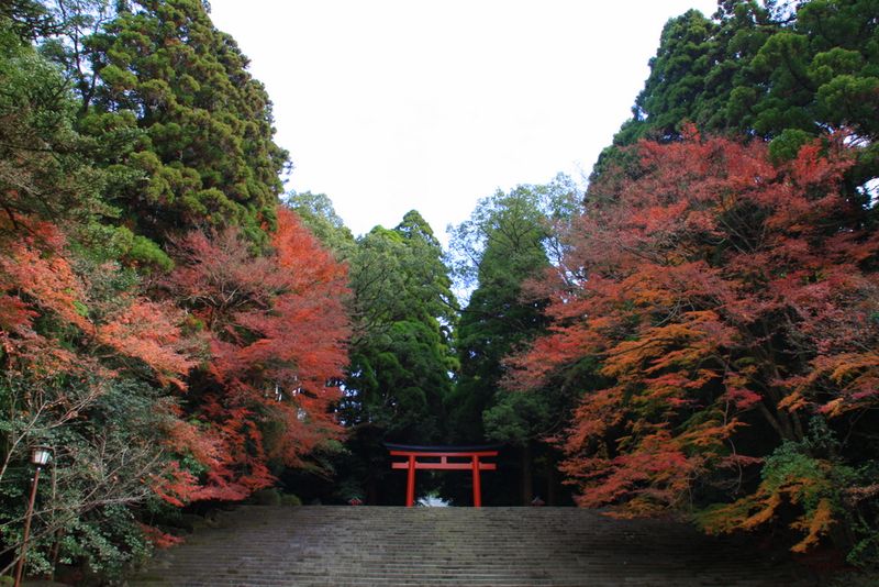 20101130_MiyazakiTrip-3